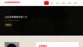 What Dylongzhou.com website looks like in 2024 