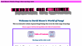 What Davidmoore.org.uk website looks like in 2024 