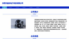 What Dgshengchi.com website looks like in 2024 