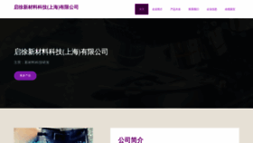 What Dz-seo.cn website looks like in 2024 