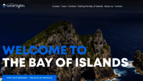 What Dolphincruises.co.nz website looks like in 2024 