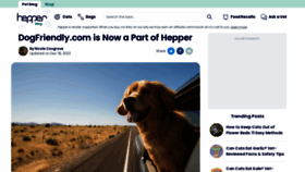 What Dogfriendly.com website looks like in 2024 