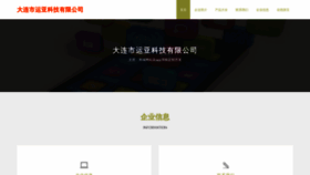 What Dalianyun.top website looks like in 2024 