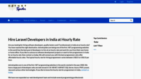 What Dotnetspider.com website looked like in 2024 (1 year ago)