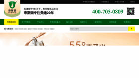 What Dsg168.com website looks like in 2024 