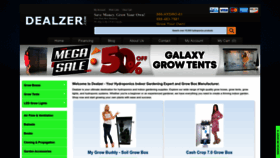 What Dealzer.com website looks like in 2024 