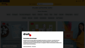 What Druck.at website looks like in 2024 