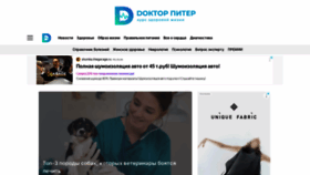 What Doctorpiter.ru website looks like in 2024 