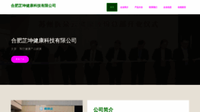 What Daizhikun.cn website looks like in 2024 