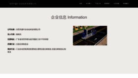What Dgsenye.cn website looks like in 2024 