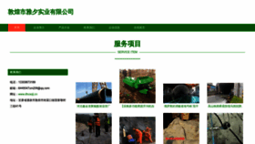 What Dhcsqlj.cn website looks like in 2024 