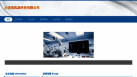 What Dlsofws.cn website looks like in 2024 