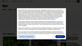 What Deser.pl website looks like in 2024 