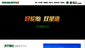 What Doublestar.com.cn website looks like in 2024 