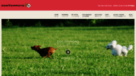 What Dog-diamond.com website looks like in 2024 