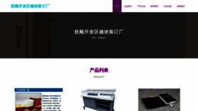 What Denog-china.com website looks like in 2024 