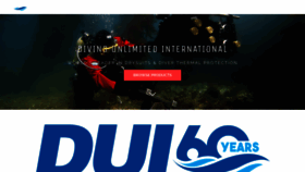 What Divedui.com website looks like in 2024 