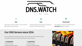 What Dns.watch website looks like in 2024 