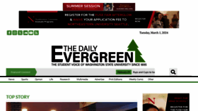 What Dailyevergreen.com website looks like in 2024 