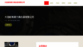 What Dlbinhai.cn website looks like in 2024 
