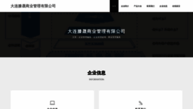 What Dltengsheng.cn website looks like in 2024 