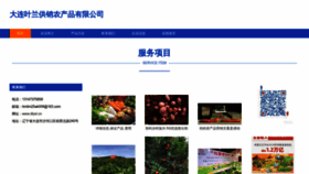 What Dlyel.cn website looks like in 2024 