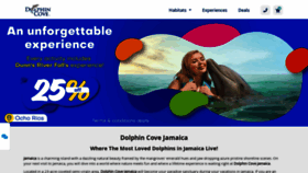 What Dolphincoveja.com website looks like in 2024 