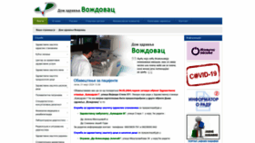 What Dzvozdovac.rs website looks like in 2024 