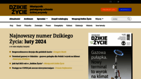 What Dzikiezycie.pl website looks like in 2024 