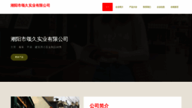 What Didongsongjiu.com website looks like in 2024 