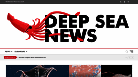 What Deepseanews.com website looks like in 2024 