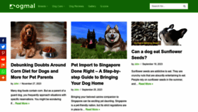 What Dogmal.com website looks like in 2024 