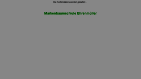 What Ehrenmueller.at website looked like in 2013 (10 years ago)