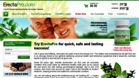 What Erectapro.com website looked like in 2015 (9 years ago)