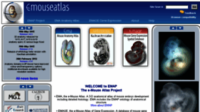 What Emouseatlas.org website looked like in 2015 (8 years ago)