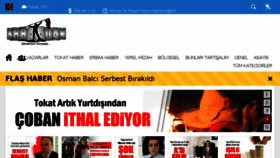 What Erbaadan.com website looked like in 2015 (8 years ago)