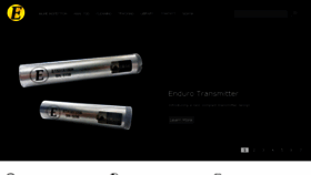 What Enduropls.com website looked like in 2016 (9 years ago)