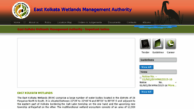 What Ekwma.com website looked like in 2016 (8 years ago)