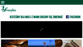What Eurybia.pl website looked like in 2016 (8 years ago)