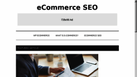 What Ecommerce-seo.com website looked like in 2016 (8 years ago)