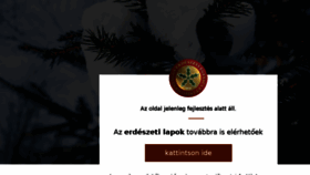 What Erdeszetilapok.hu website looked like in 2016 (8 years ago)