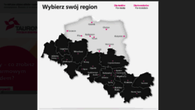 What Enion.pl website looked like in 2016 (9 years ago)