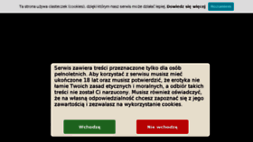 What Erofoto.pl website looked like in 2016 (7 years ago)