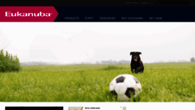 What Eukanuba-eu.com website looked like in 2016 (7 years ago)