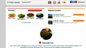 What Erbaayapragi.com website looked like in 2016 (7 years ago)