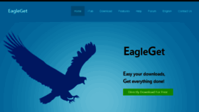 What Eagleget.com website looked like in 2016 (7 years ago)