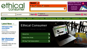 What Ethiscore.org website looked like in 2016 (8 years ago)