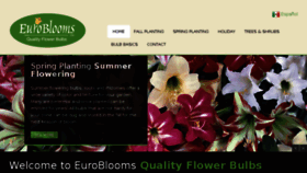 What Euroblooms.com website looked like in 2017 (7 years ago)