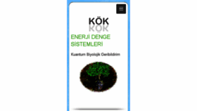 What Enerjidengesi.net website looked like in 2017 (8 years ago)