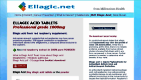 What Ellagic.net website looked like in 2017 (6 years ago)